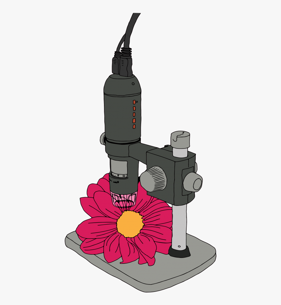 Illustration, Transparent Clipart