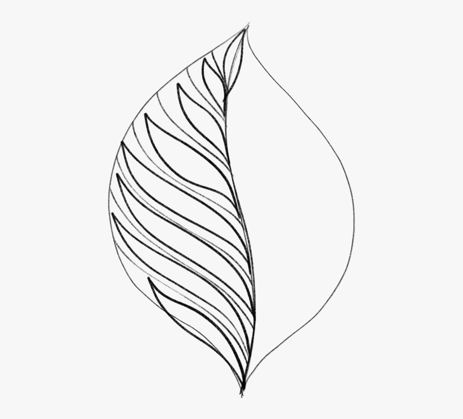 Drawing Leaves Easily Using Simple Shapes Jspcreate - Line Art, Transparent Clipart