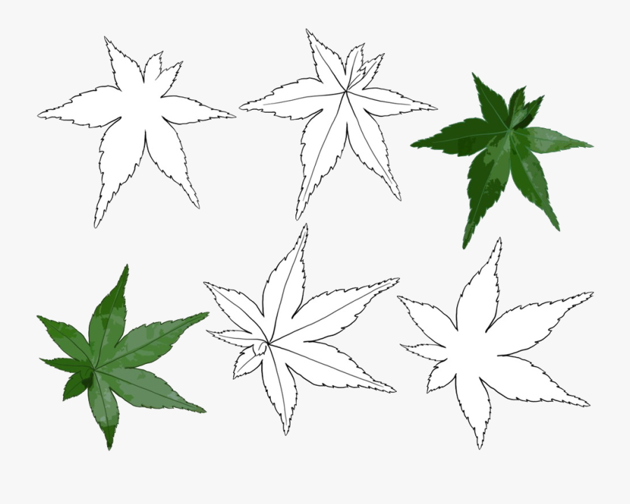 Black And White Maple Leaf Line Art - Daun Hitam Putih Simple, Transparent Clipart