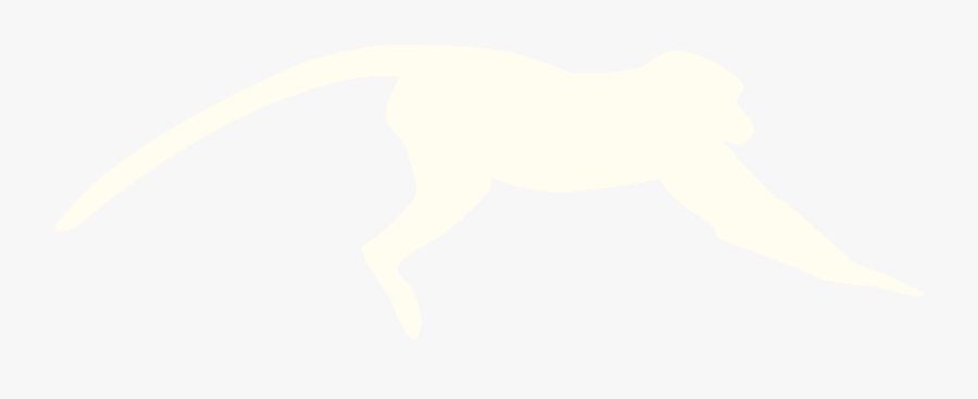 Green Sea Turtle, Transparent Clipart