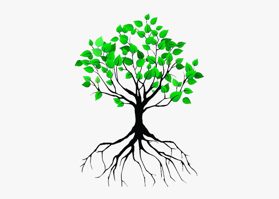 Rooted In Him, Transparent Clipart