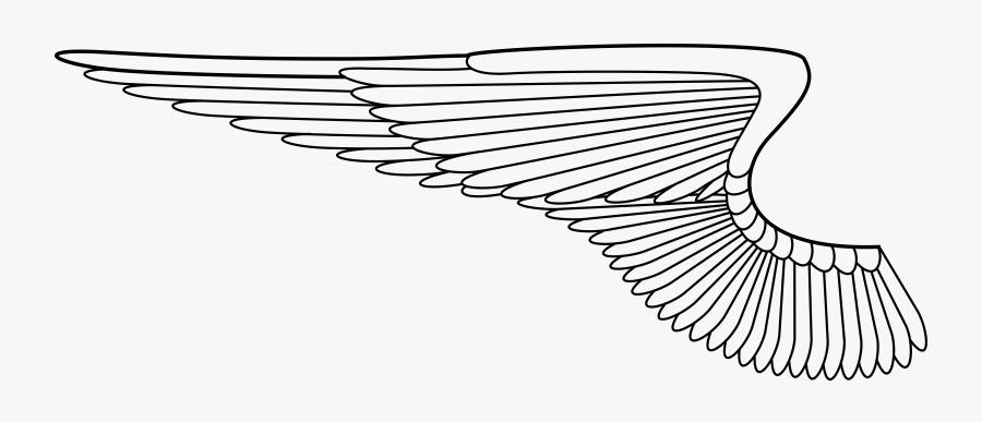 Mitchell Johnson Si Big - Angel Wing Vector Png, Transparent Clipart