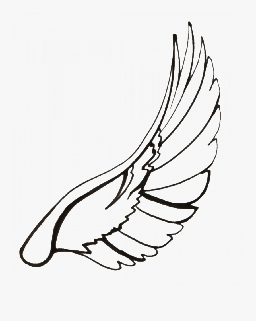 Wings Line Drawing Png, Transparent Clipart