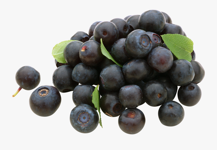 Blueberry, Transparent Clipart