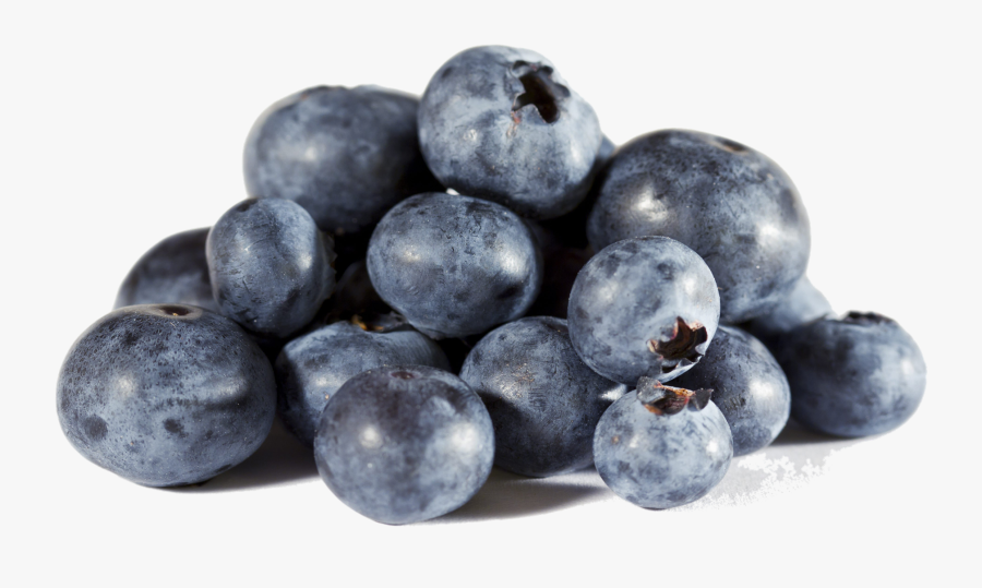 Blueberries Png Photo - Bilberry, Transparent Clipart