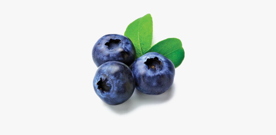 Blueberries Png Image File - Blue Barry, Transparent Clipart