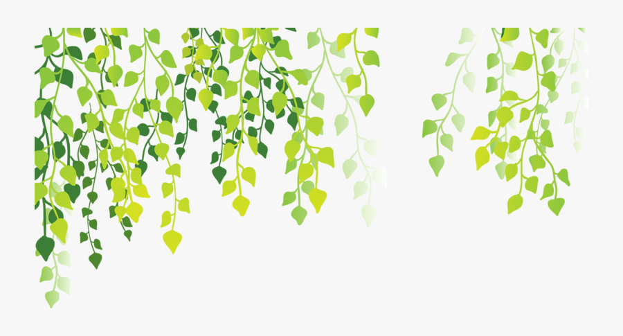 Laptop Wallpaper, Mac Wallpaper, Wallpaper Notebook, - Green Leaves Background Png, Transparent Clipart