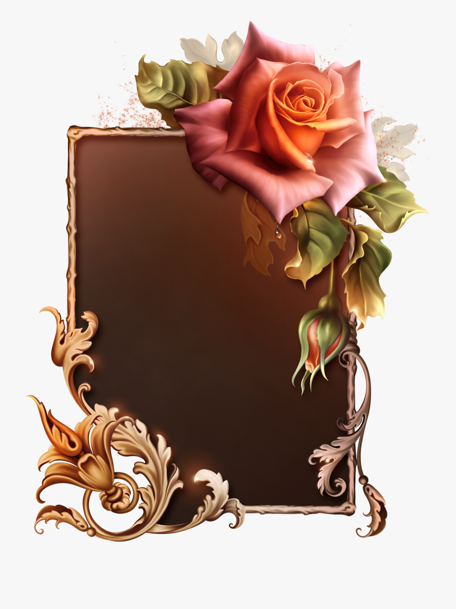 Garden Roses, Transparent Clipart