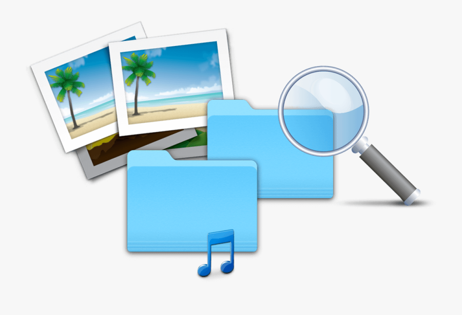 Duplicate File Finder On Mac - Palm Tree, Transparent Clipart