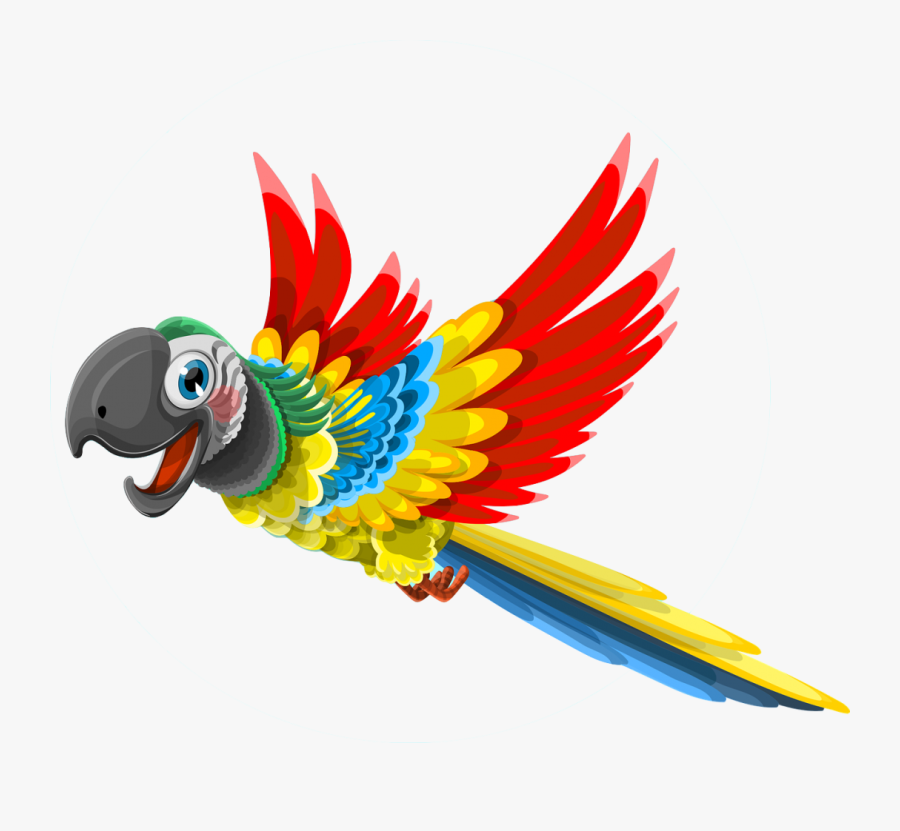 Parrot No Background - Macaw Cartoon, Transparent Clipart