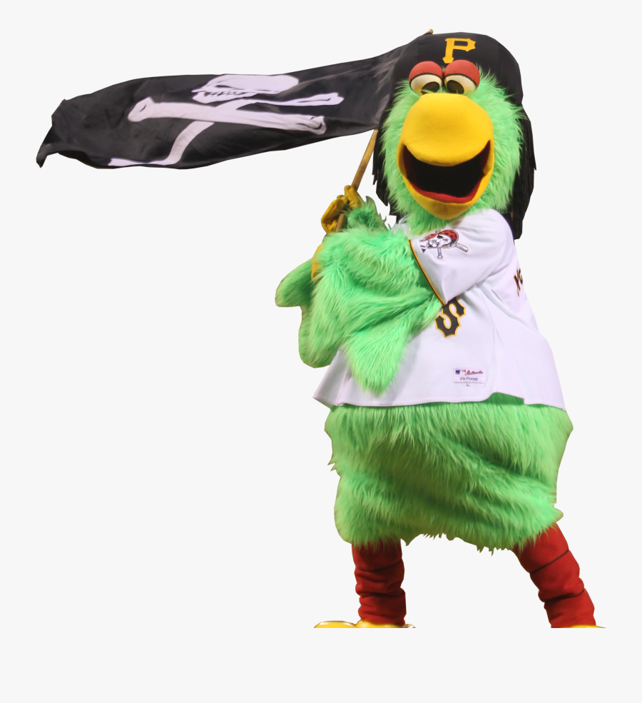 Transparent Pirate Parrot Png - Costume Hat, Transparent Clipart