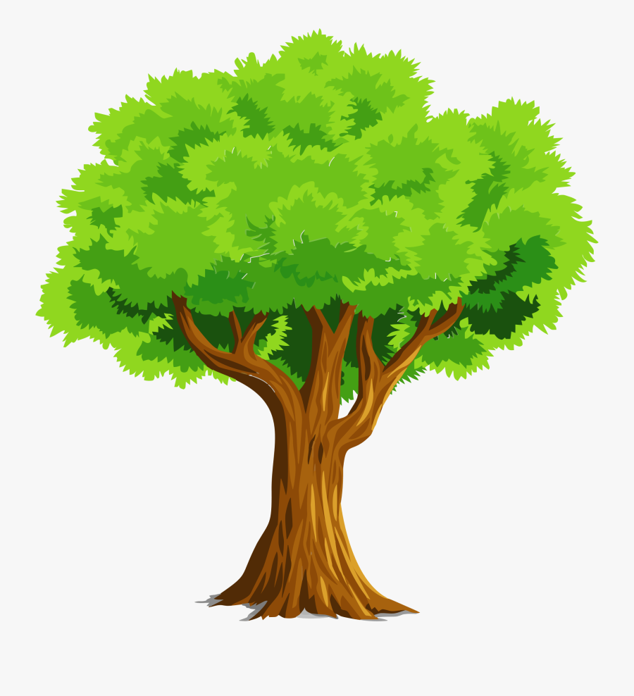 Colorful Natural Tree Vector Clipart - Tree Clipart, Transparent Clipart