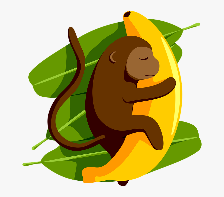 Monkey, Banana, Dream, Exotic, Sleeping, Animal - Illustration, Transparent Clipart