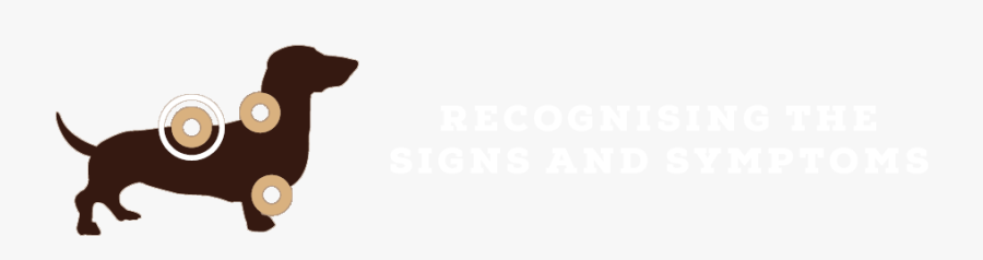 Toy Story Clipart Sausage Dog Toy - Dachshund, Transparent Clipart