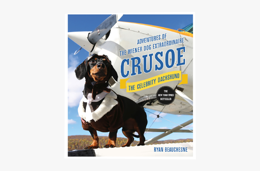 Dachshund Picture Book - Crusoe The Celebrity Dachshund Book, Transparent Clipart