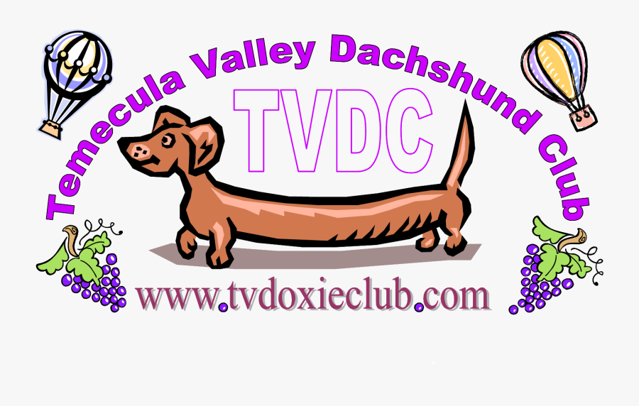 Dachshund, Transparent Clipart