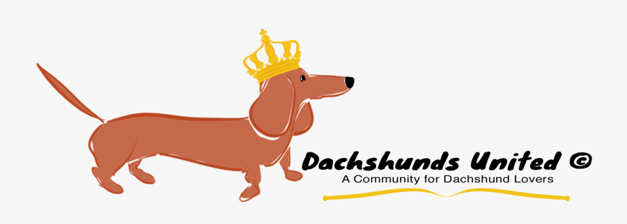 Dachshunds United - Dachshund, Transparent Clipart