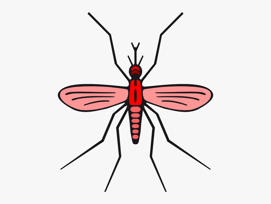 Mosquito Png Red, Transparent Clipart