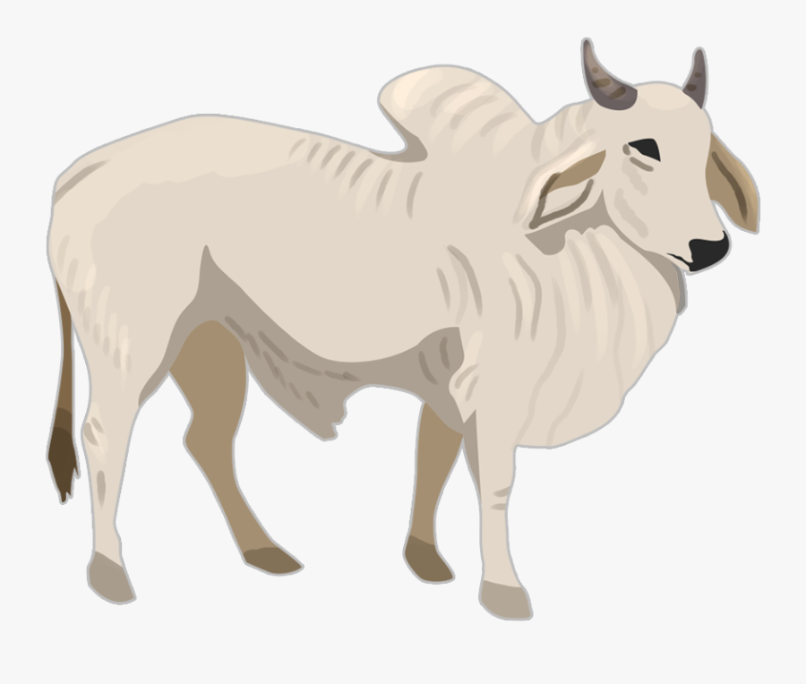 Bighorn, Transparent Clipart