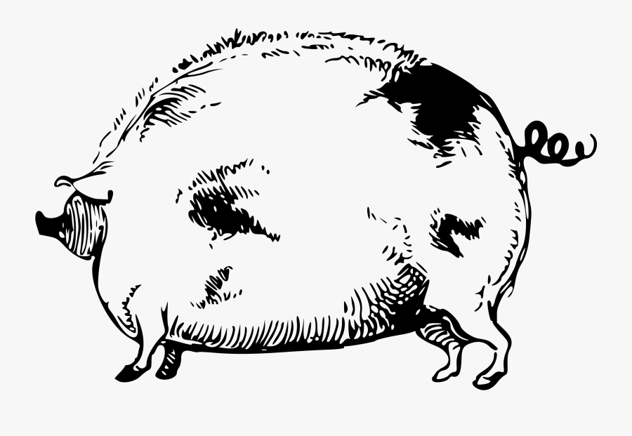 Art,livestock,monochrome Photography - Clip Art, Transparent Clipart