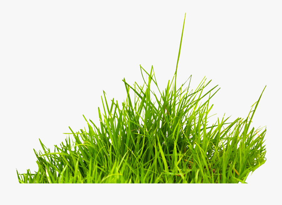 Clipart Png Picsart - Transparent Background Grass Png, Transparent Clipart