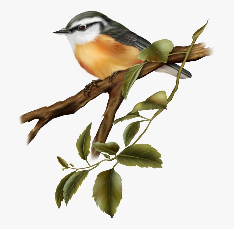 Pin Wedding Clipart Png Format - Painted Bird Transparent Png, Transparent Clipart