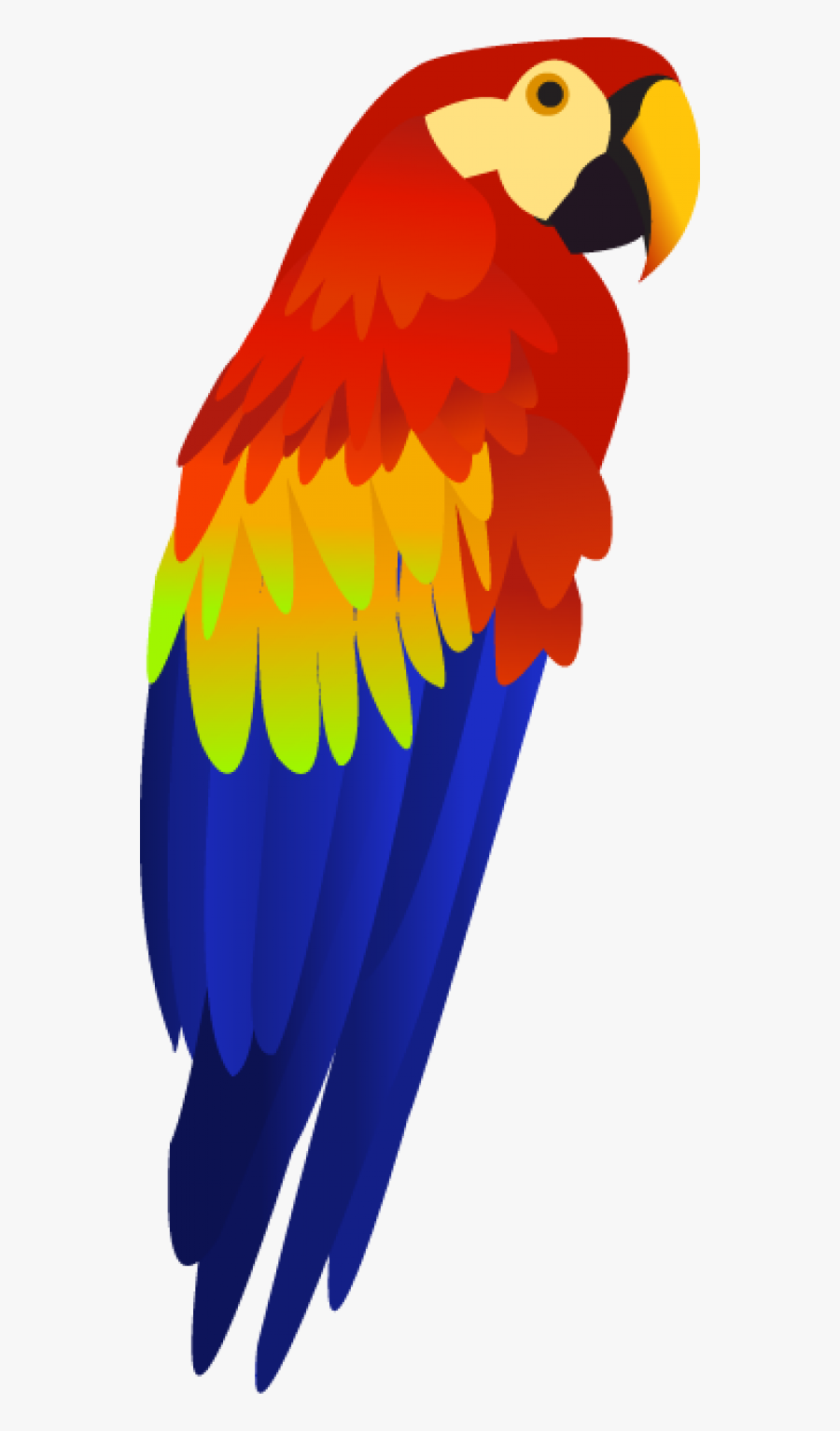 Parrot Png Free Download - Transparent Background Parrot Clipart, Transparent Clipart