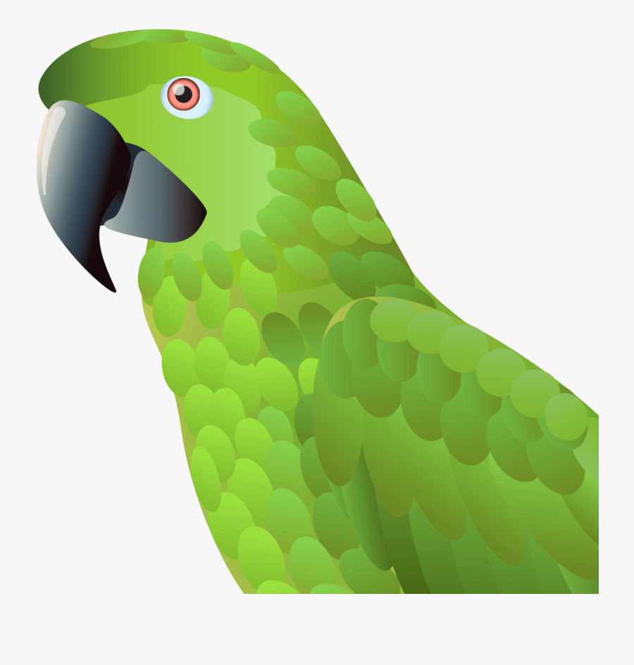 Naija Parrot - Clip Art, Transparent Clipart