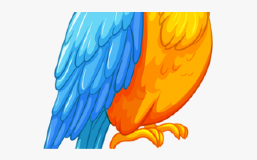 Papagei Clipart, Transparent Clipart