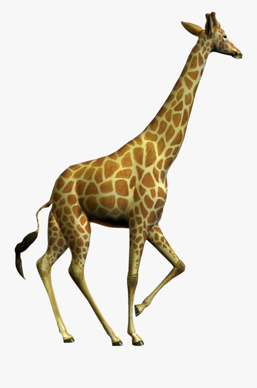 Free High Resolution Graphics And Clip Art - Giraffe Picture High Resolution, Transparent Clipart