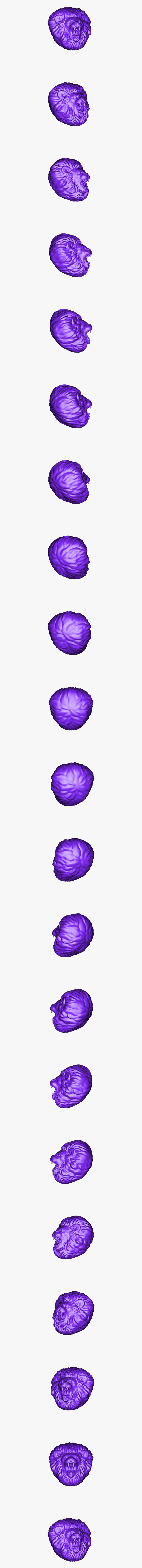 Roaring Lion Head Clip Art, Transparent Clipart