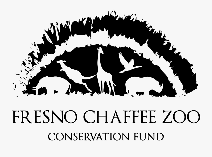 Graphic Design, Transparent Clipart