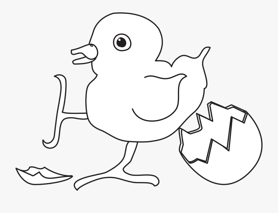 Baby, Bird, Hatched, Egg, Newborn, Young, Chicks - Infant, Transparent Clipart