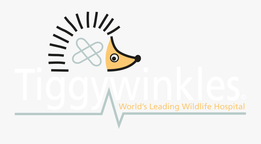 Tiggywinkles - Barnsley Hospital Nhs Foundation Trust, Transparent Clipart