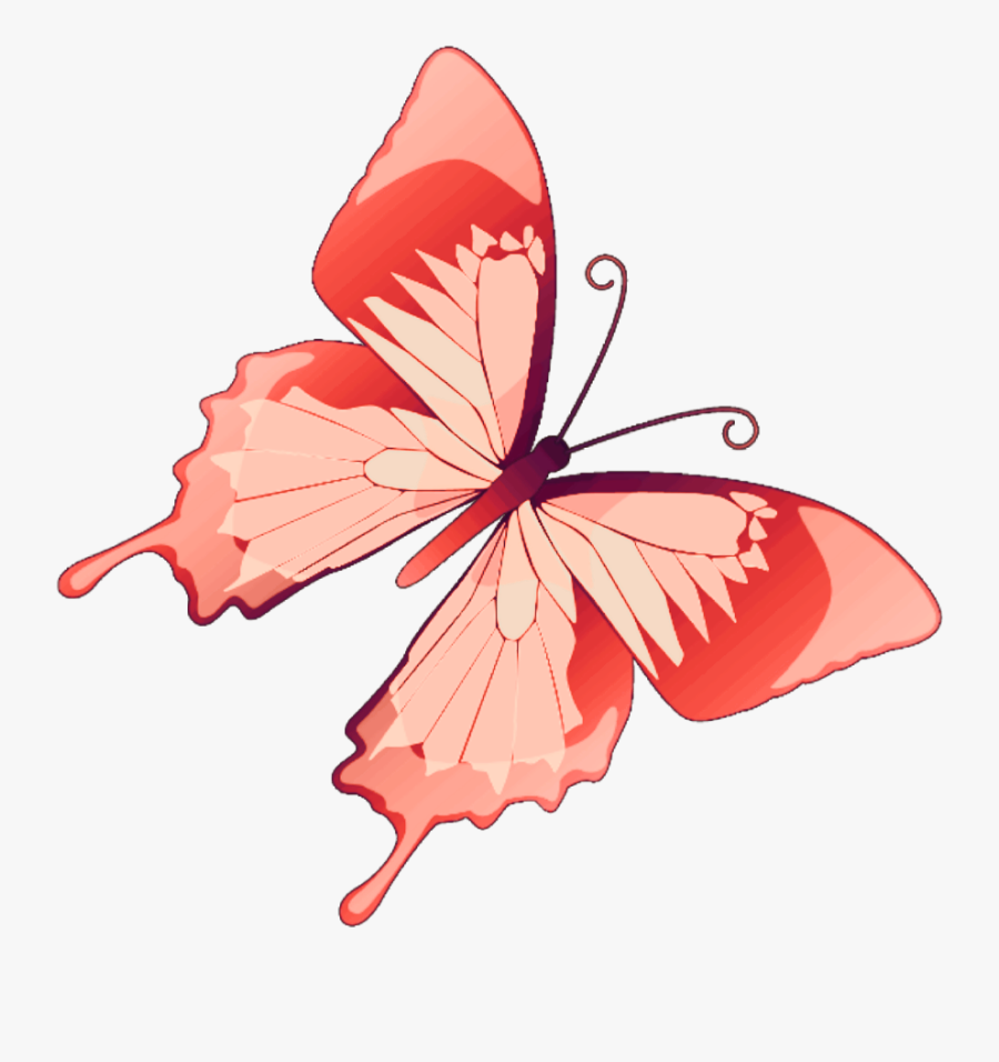 #butterfly #mariposa #diurna #day #diurnal #spring - Butterfly Vector, Transparent Clipart