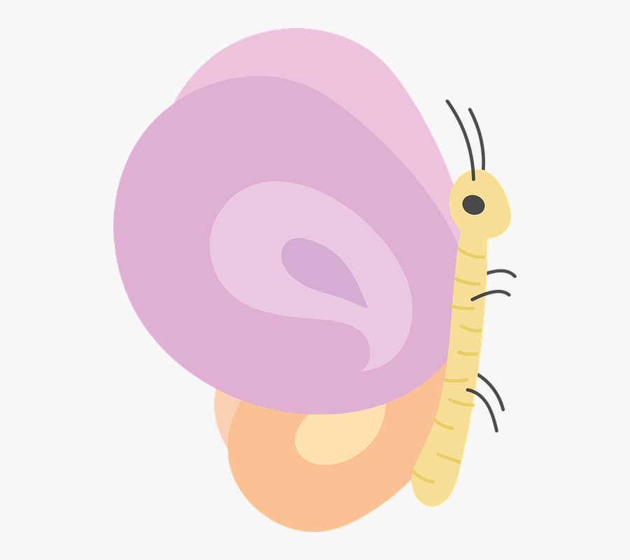 Butterfly, Spring, Field, Nature, Cute, Transparent Clipart