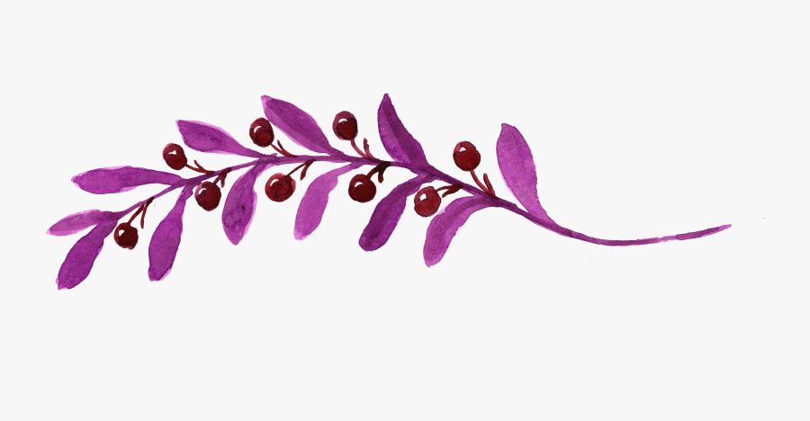 Twig, Transparent Clipart