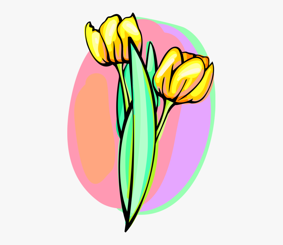 Transparent Yellow Tulip Clipart, Transparent Clipart