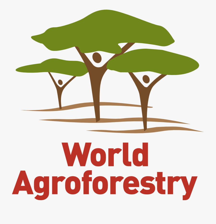 Image - World Kidney Day 2011, Transparent Clipart