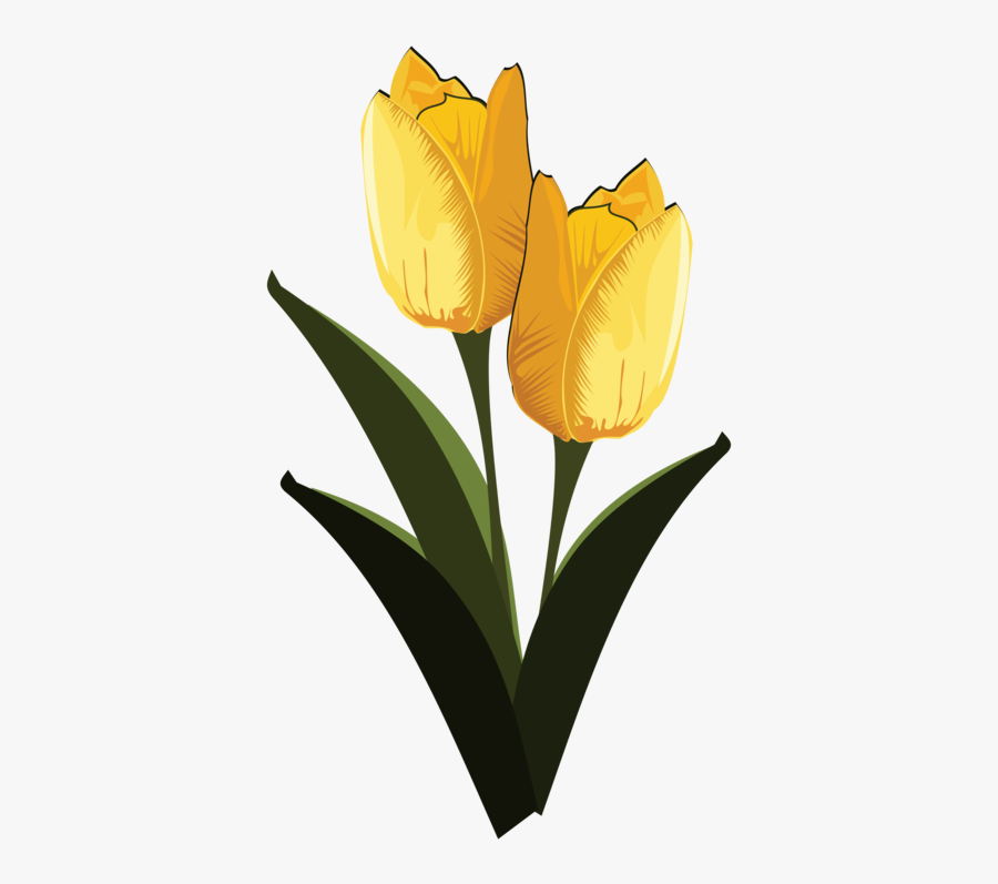 Computer Wallpaper,plant,flower - Art Flower, Transparent Clipart