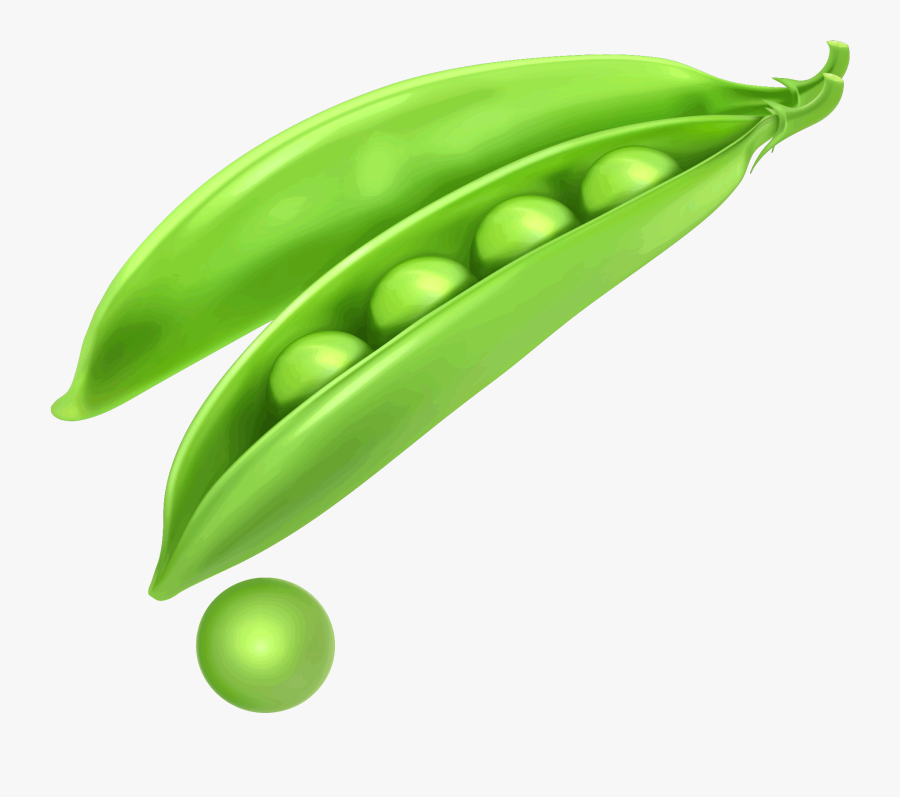 Peas In Pod Drawing, Transparent Clipart