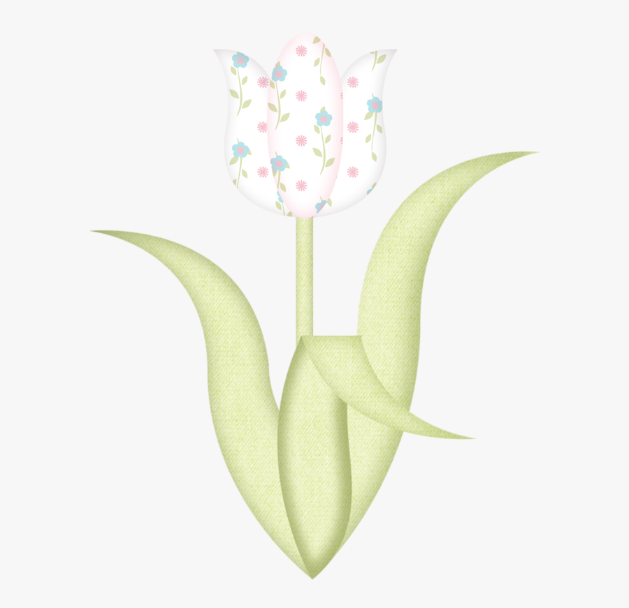 Tulipa Humilis, Transparent Clipart