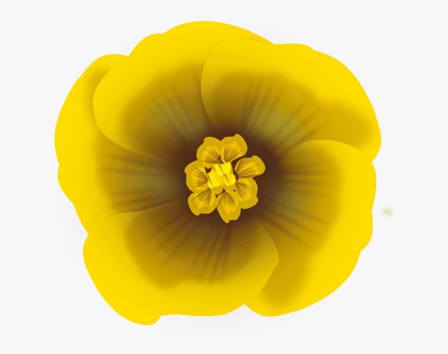 Computer Icons Yellow Flower Drawing Download Cc0 - Floramarela Png, Transparent Clipart