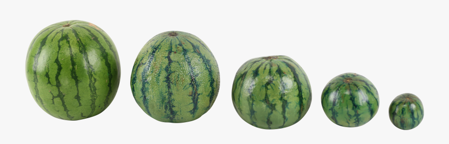 Family Photos, Water Melon, Fruit, Food, Family Pictures, - 美味しい スイカ の 見分け 方, Transparent Clipart
