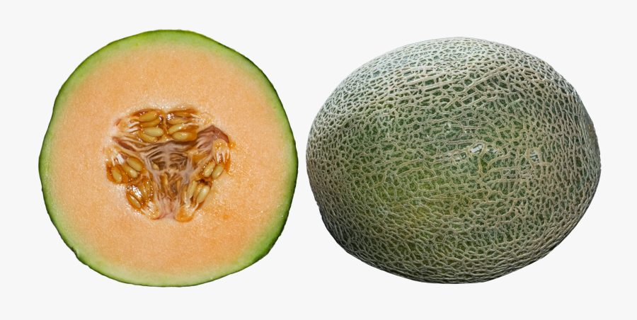 Whole And Half Cantaloupe Slices Png Image - Half Cantaloupe, Transparent Clipart
