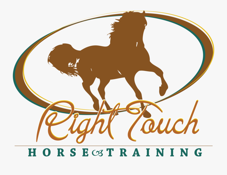 Riding Clipart Horse Trainer - Bison, Transparent Clipart