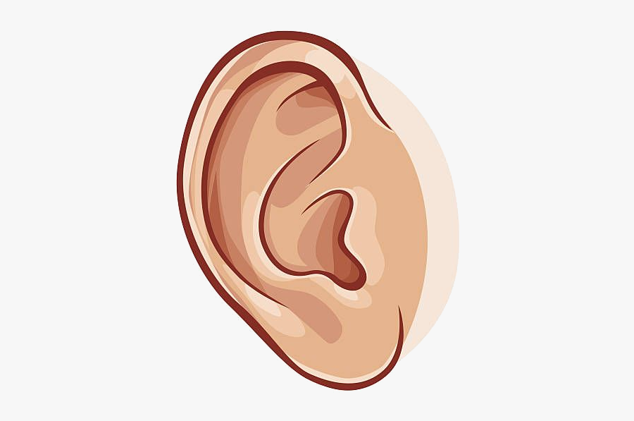 Ear Collection Of Images High Quality Free Awesome - Ear Clipart, Transparent Clipart