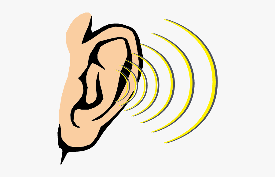 Clip Art Cartoon Ear - Sense Of Hearing Clipart, Transparent Clipart