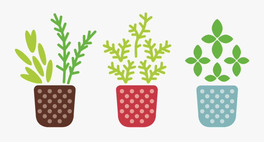 Transparent Plant Transparent Png - Herb Gardens Clip Art, Transparent Clipart