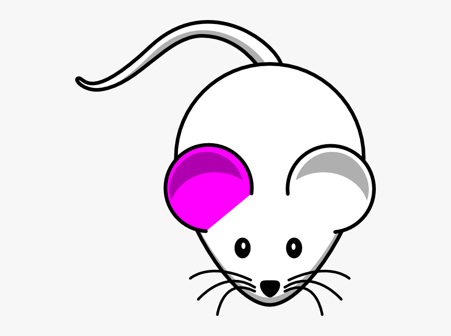 Mouse Transparent Png Cartoon, Transparent Clipart